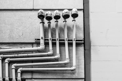 Portrait of Michael Chen